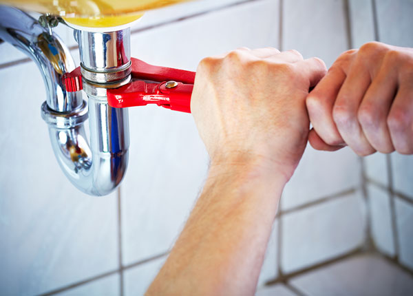 About Dunedin Plumbers